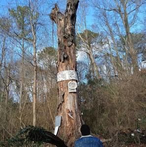 Meet your Posher, Jo